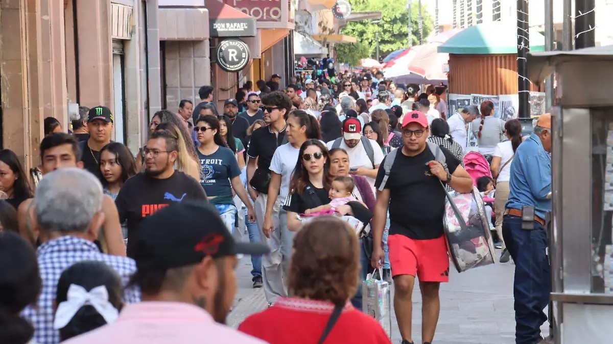 WhatsApp Image 2025-11-17 at 14.12.44