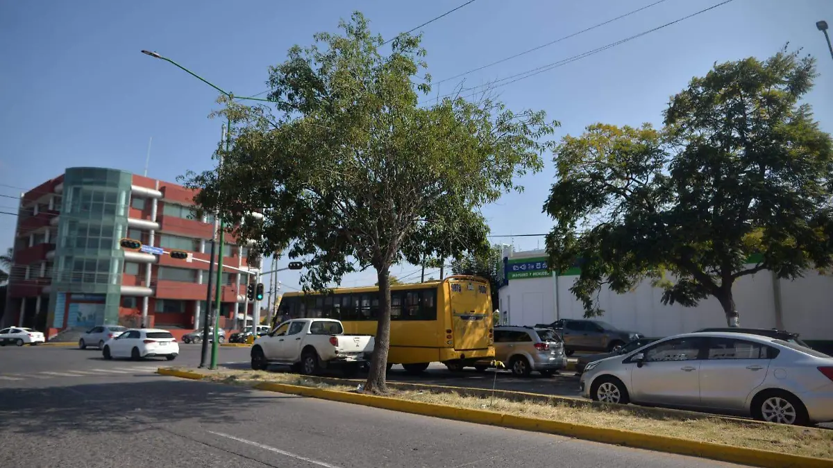 WhatsApp Image 2025-11-22 at 14.24.32