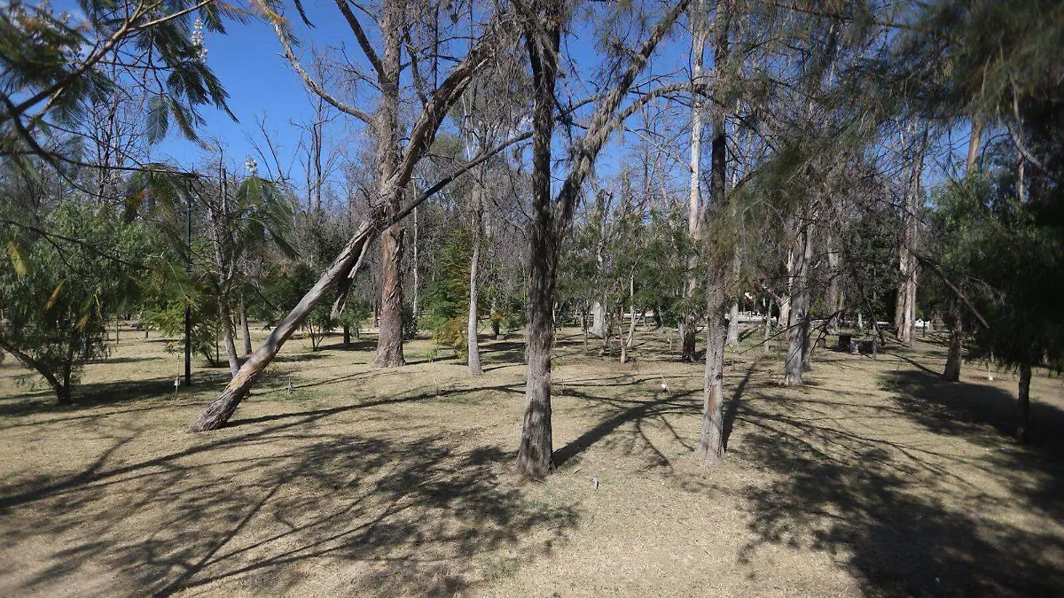 Parque de Morales SLP (1)