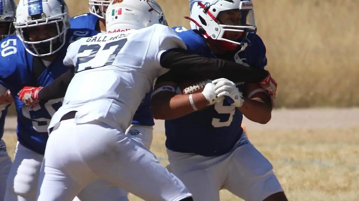 WhatsApp Image 2025-12-01 at 13.06.02