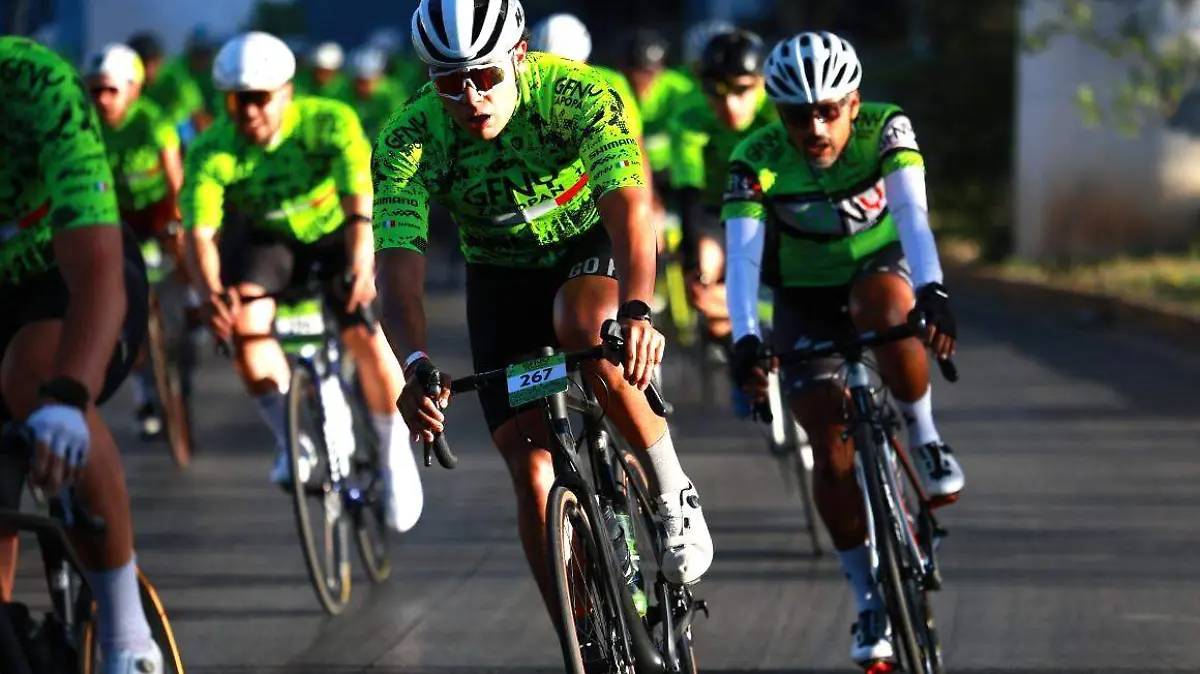 WhatsApp Image 2025-11-25 at 12.59.39