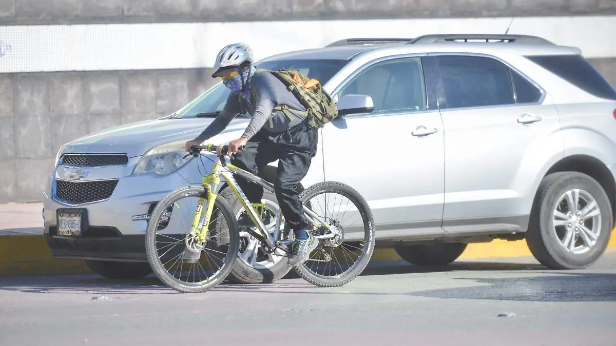 WhatsApp Image 2025-12-11 at 11.31.44