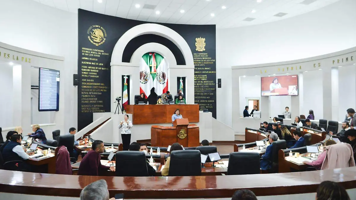 WhatsApp Image 2025-12-14 at 11.33.48 AM