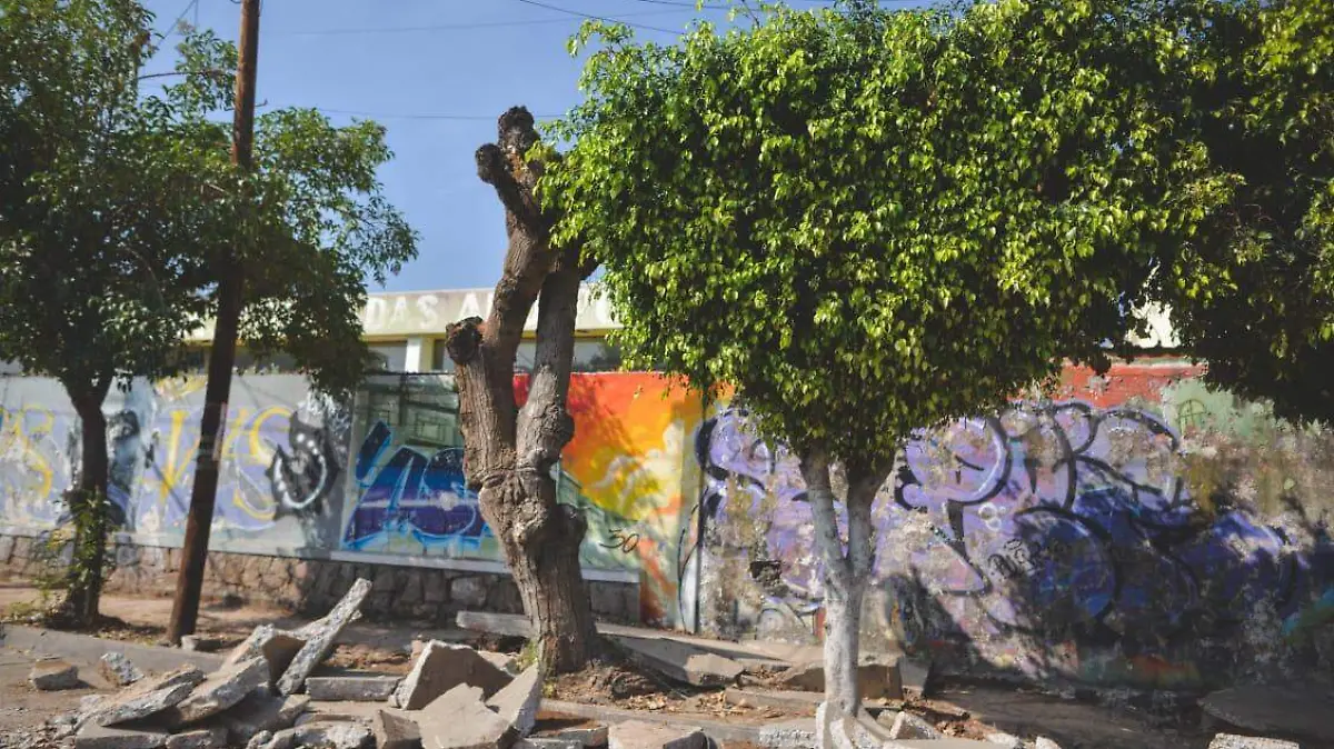 WhatsApp Image 2025-12-14 at 1.44.04 PM