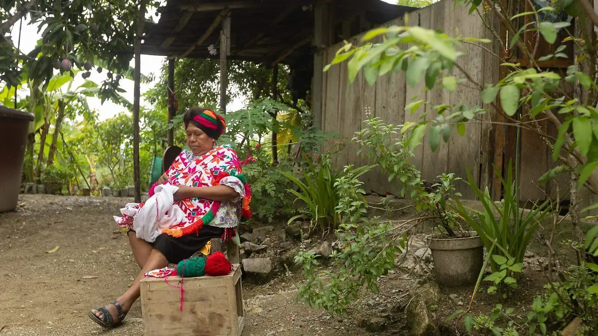 WhatsApp Image 2025-12-15 at 16.29.59