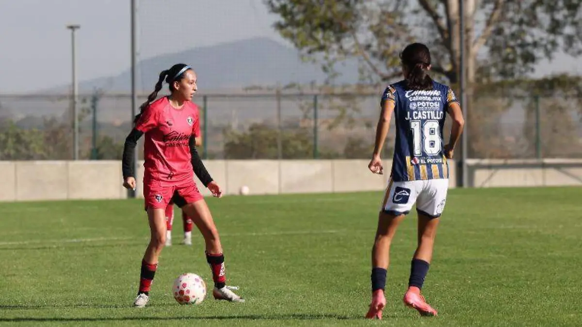 WhatsApp Image 2025-12-22 at 12.16.19