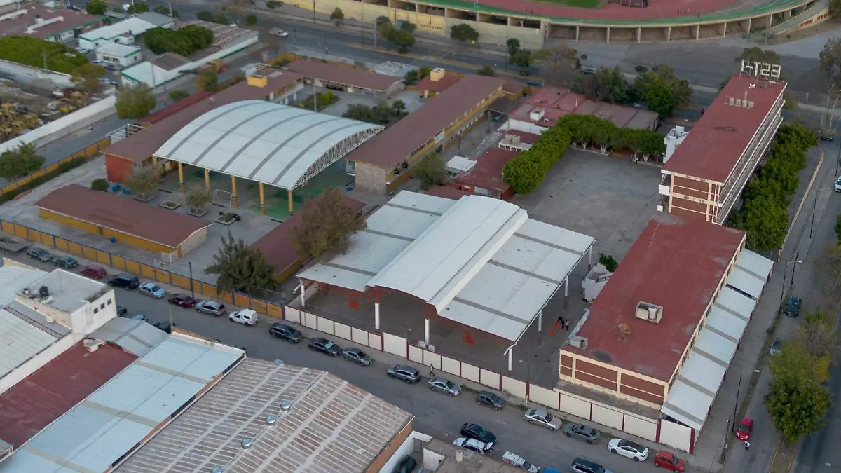 WhatsApp Image 2025-12-22 at 13.52.50