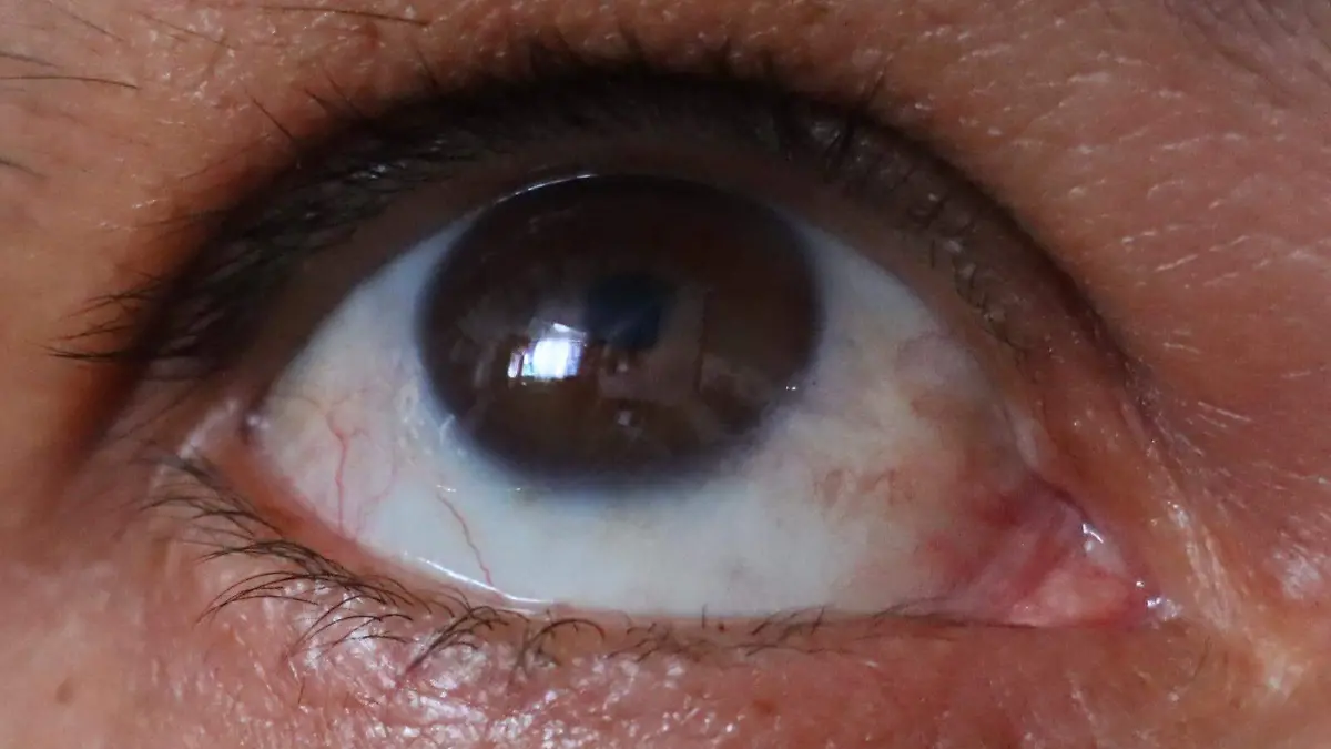 WhatsApp Image 2025-12-23 at 14.42.27