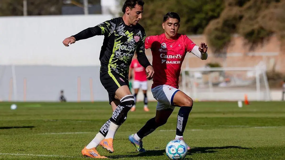 WhatsApp Image 2025-12-23 at 13.26.58