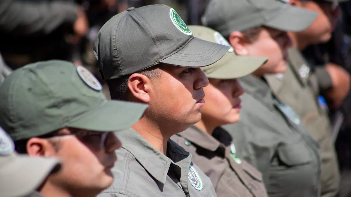 3d0bb674-7736-4e26-8b55-85f1debd4b9d