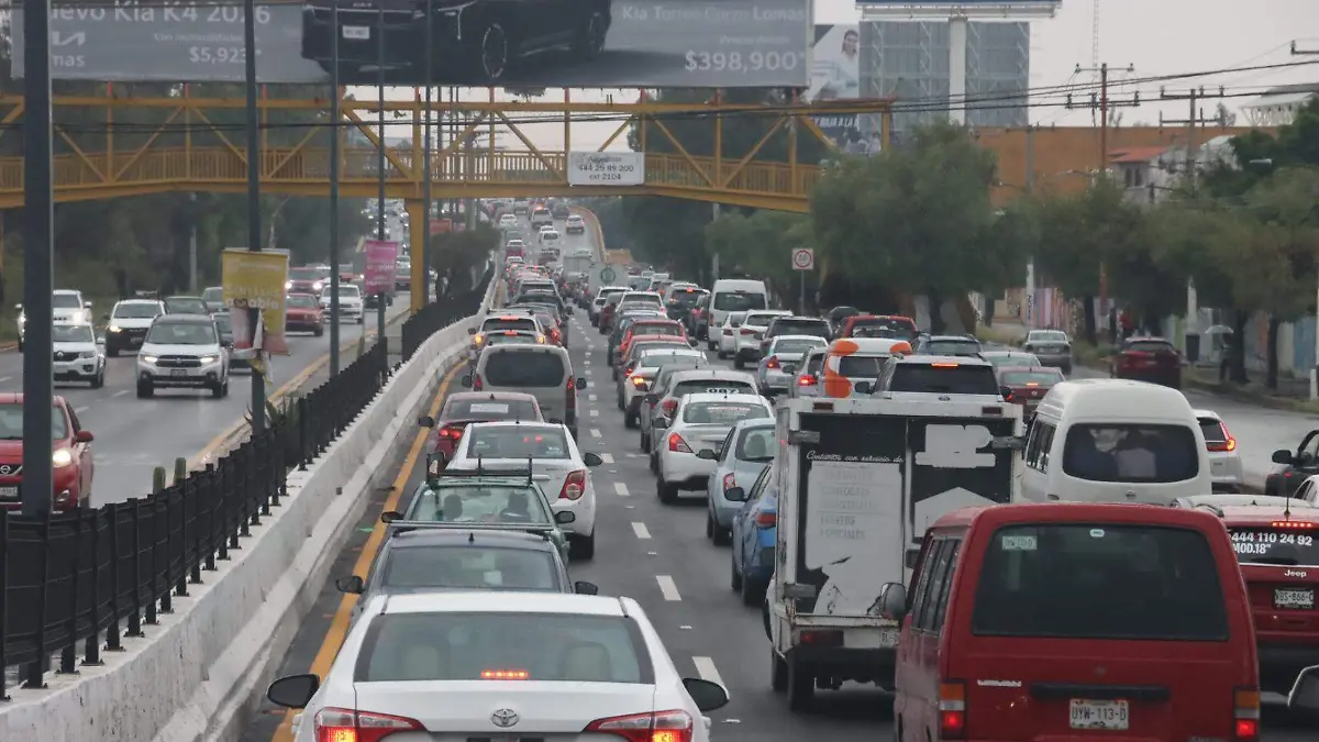 WhatsApp Image 2025-12-27 at 13.47.47