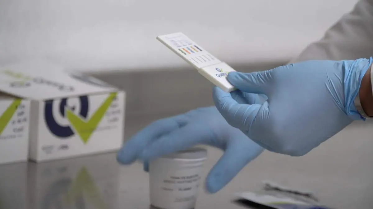 WhatsApp Image 2025-12-27 at 13.24.32