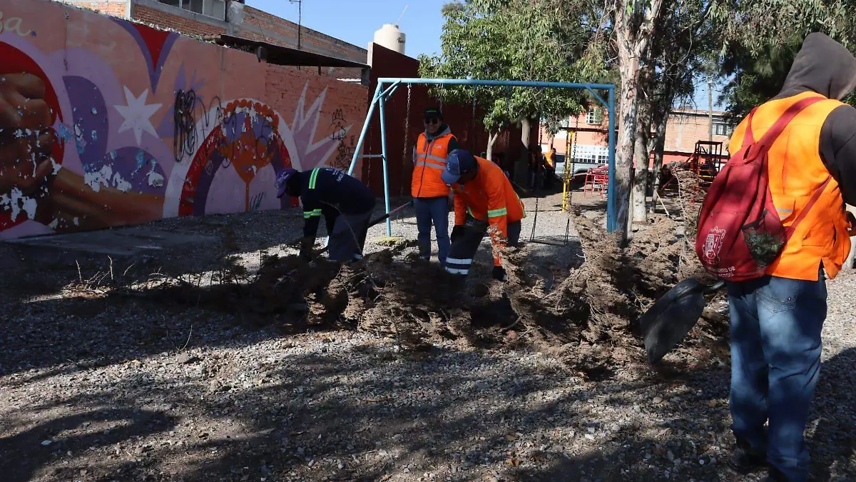 WhatsApp Image 2025-12-28 at 15.21.45