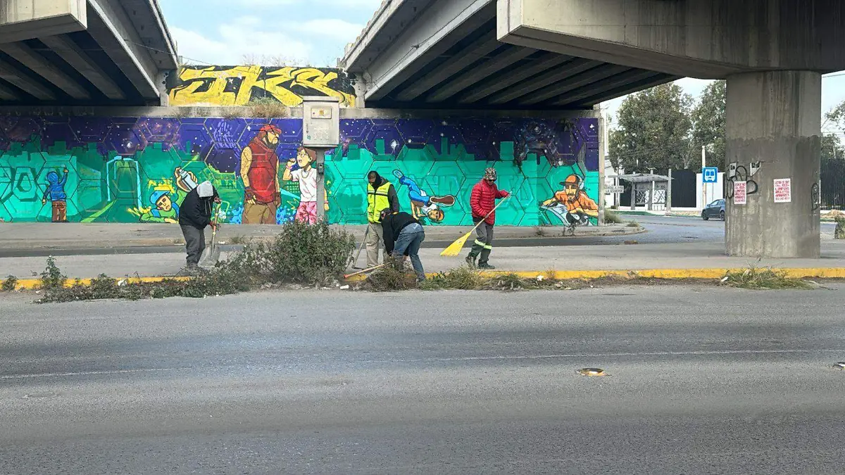 WhatsApp Image 2025-12-28 at 13.28.52