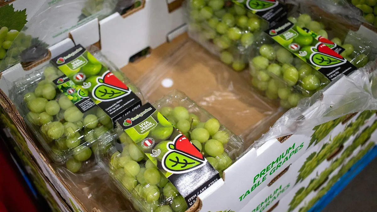 WhatsApp Image 2025-12-28 at 15.02.14