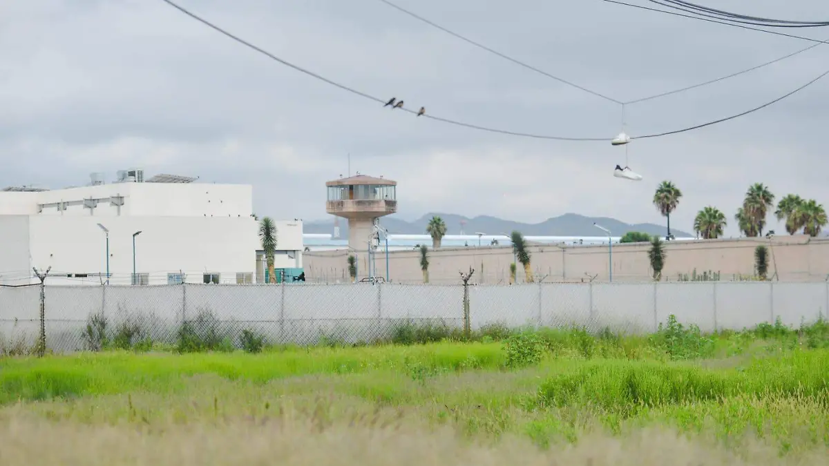 WhatsApp Image 2025-12-30 at 14.08.49