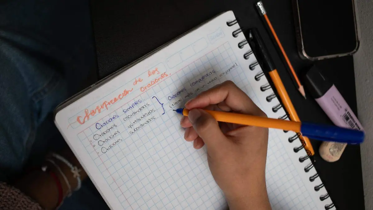 WhatsApp Image 2025-12-30 at 13.34.38