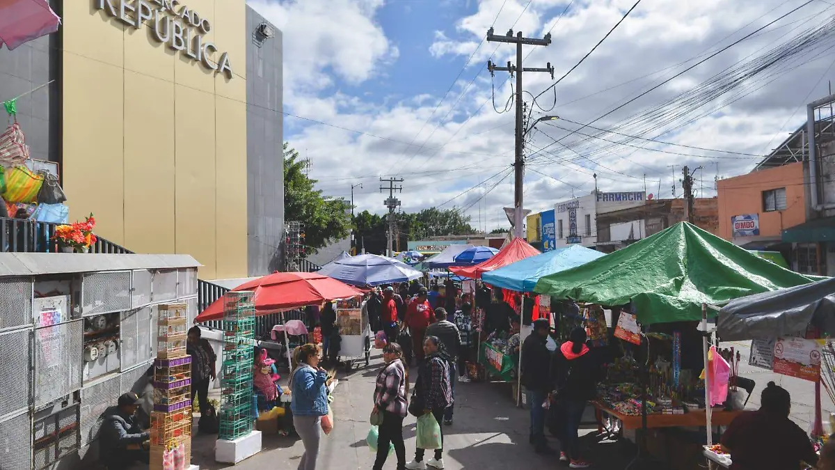 WhatsApp Image 2025-12-30 at 13.54.48