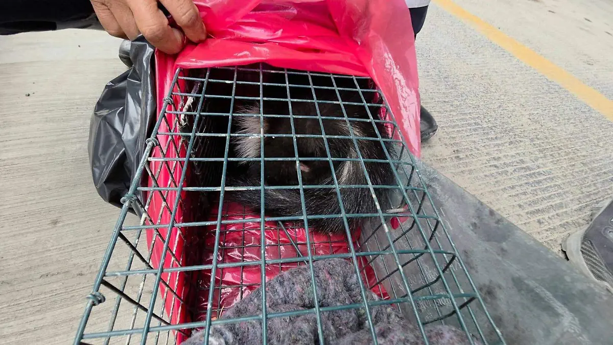 WhatsApp Image 2025-12-30 at 16.39.19