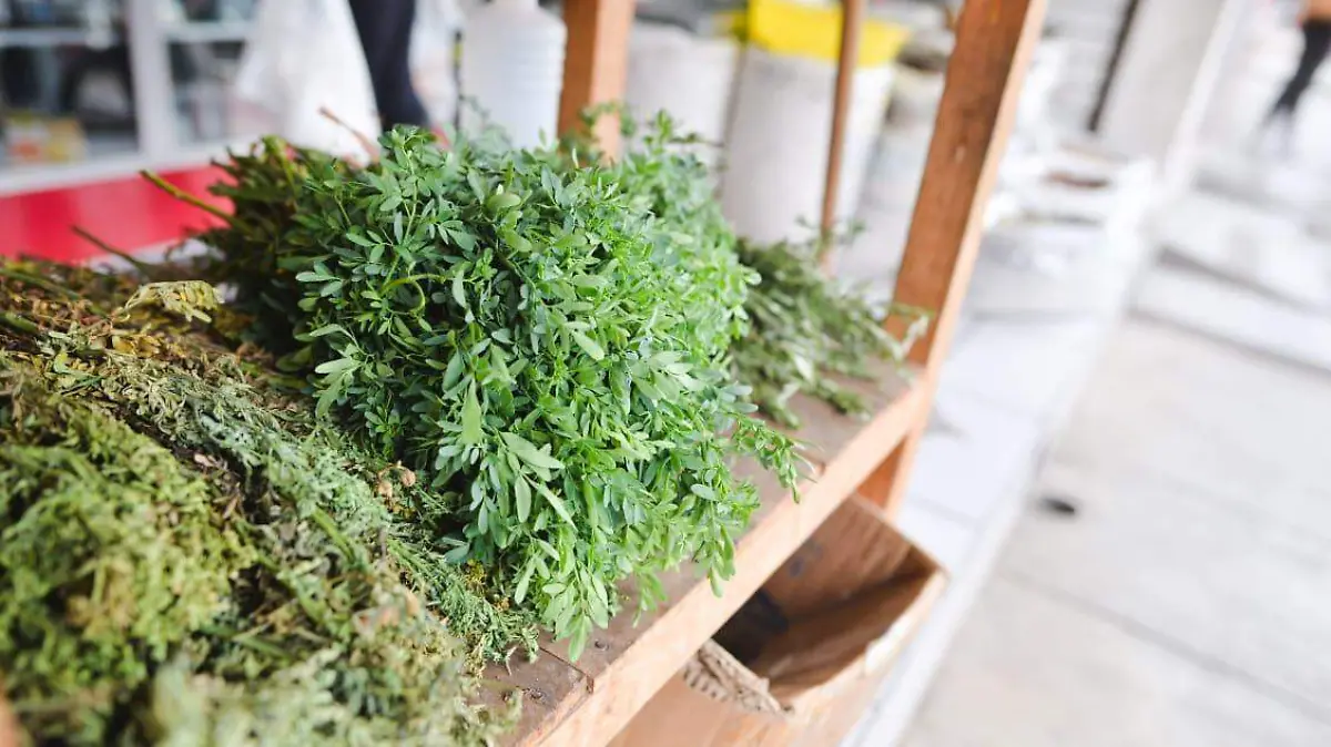 WhatsApp Image 2025-12-31 at 12.49.41