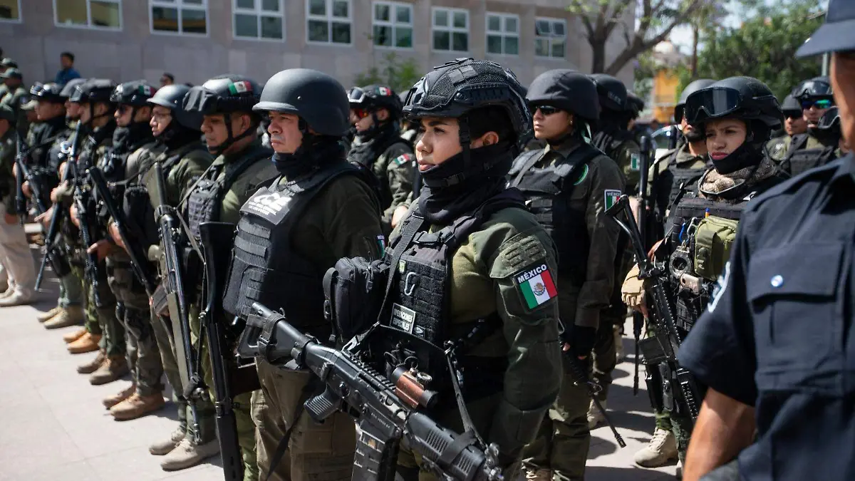 WhatsApp Image 2026-01-01 at 15.44.07