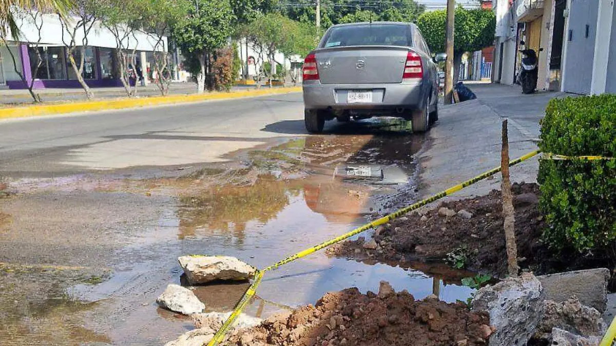 WhatsApp Image 2026-01-01 at 14.19.26