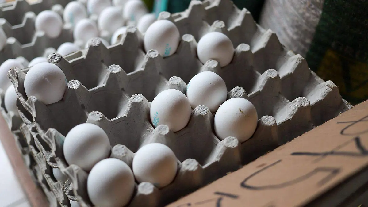 WhatsApp Image 2026-01-02 at 16.28.45