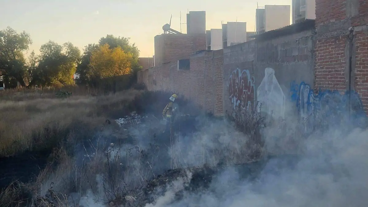 WhatsApp Image 2026-01-04 at 16.21.23