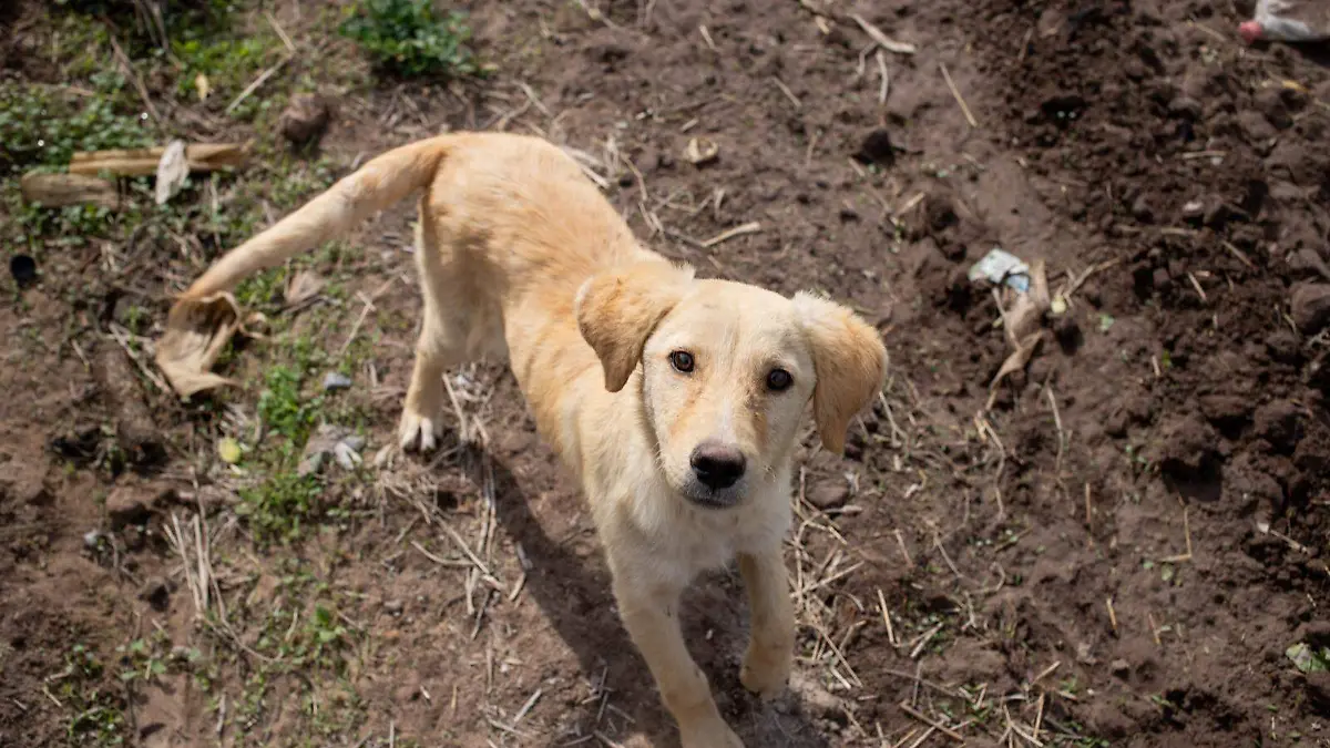 WhatsApp Image 2026-01-04 at 16.30.34