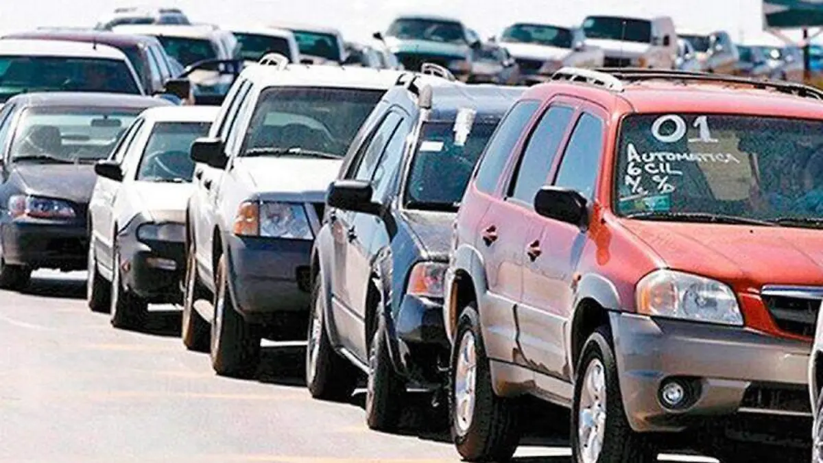 WhatsApp Image 2026-01-05 at 10.58.18 AM (1)