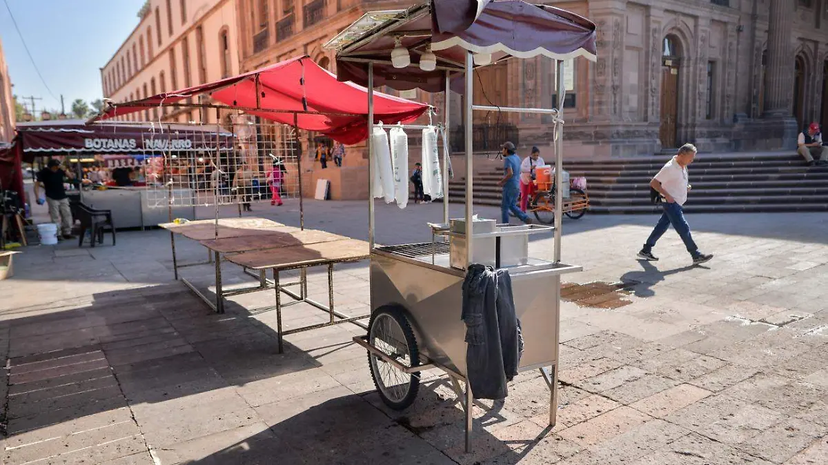 WhatsApp Image 2026-01-05 at 11.48.48