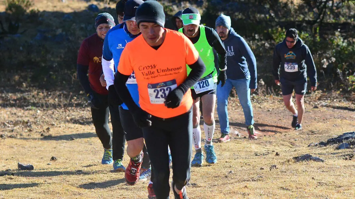 WhatsApp Image 2026-01-06 at 13.52.05