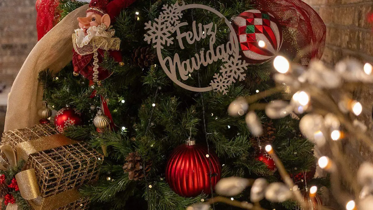 Electricidad durante diciembre