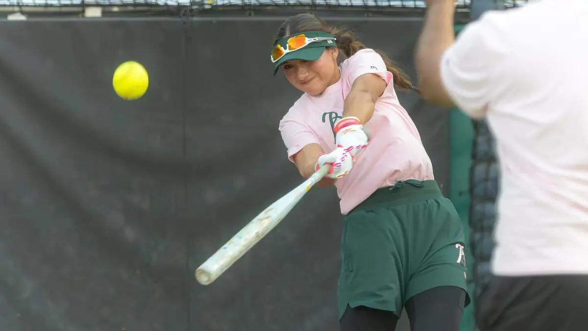 WhatsApp Image 2026-01-07 at 12.21.07