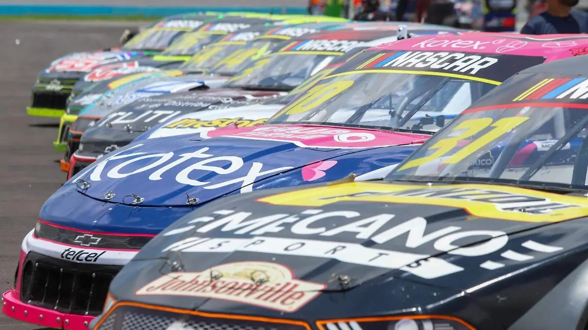 WhatsApp Image 2026-01-07 at 14.54.51