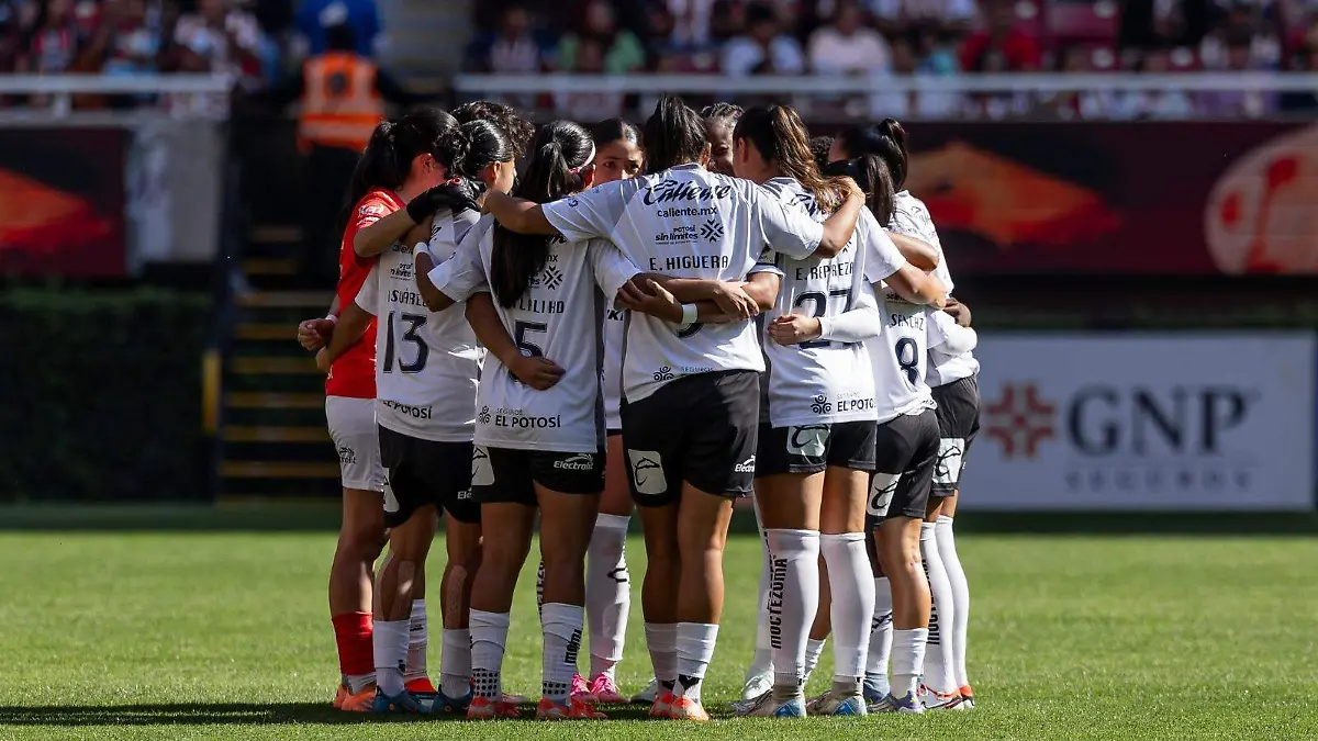 WhatsApp Image 2026-01-08 at 13.57.53