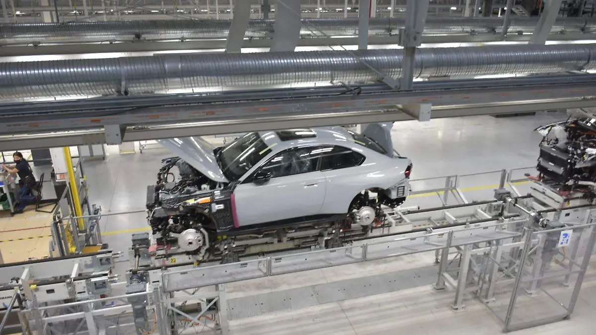 WhatsApp Image 2026-01-08 at 14.45.07