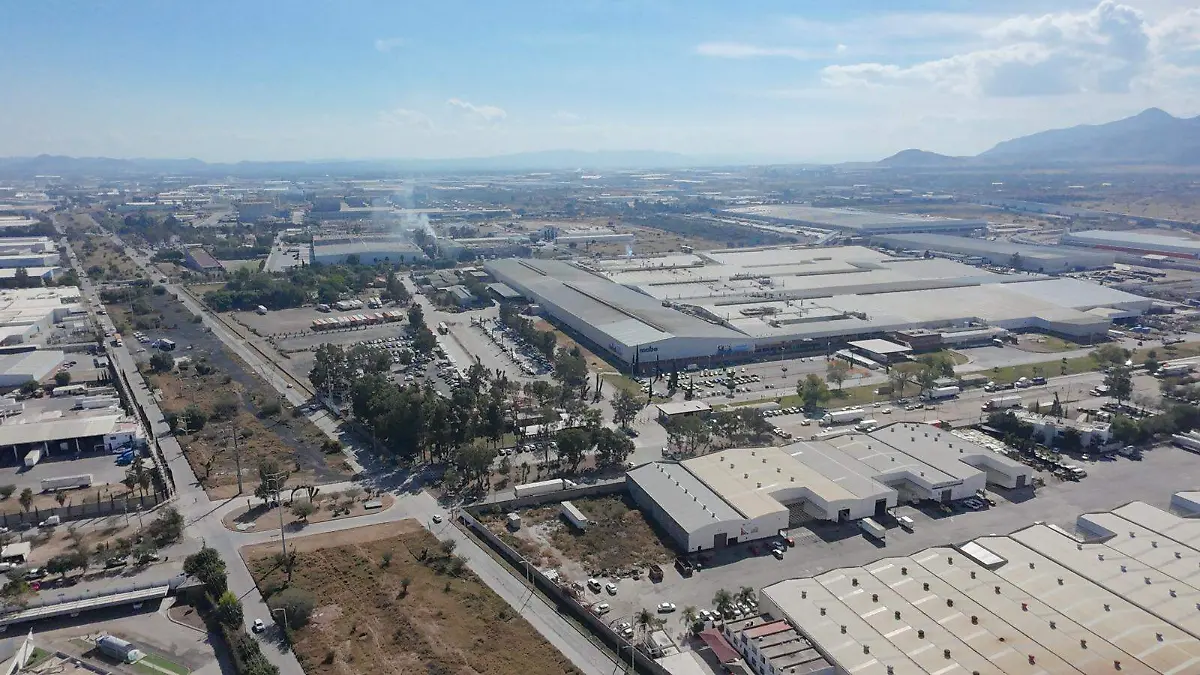 WhatsApp Image 2026-01-08 at 14.47.19 (1)