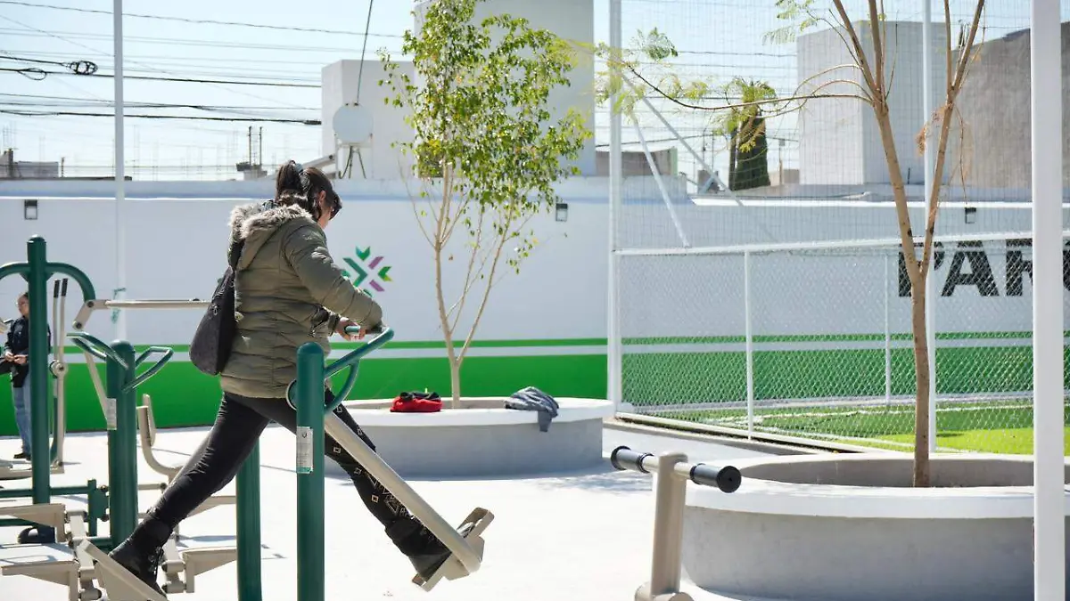 WhatsApp Image 2026-01-11 at 1.18.38 PM