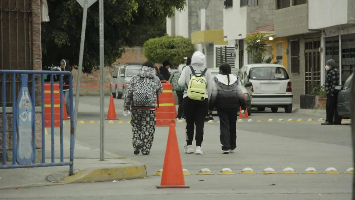 WhatsApp Image 2026-01-12 at 09.13.12