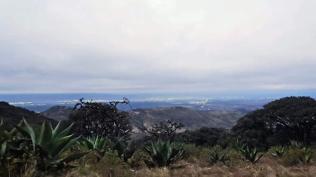 WhatsApp Image 2026-01-12 at 09.52.30