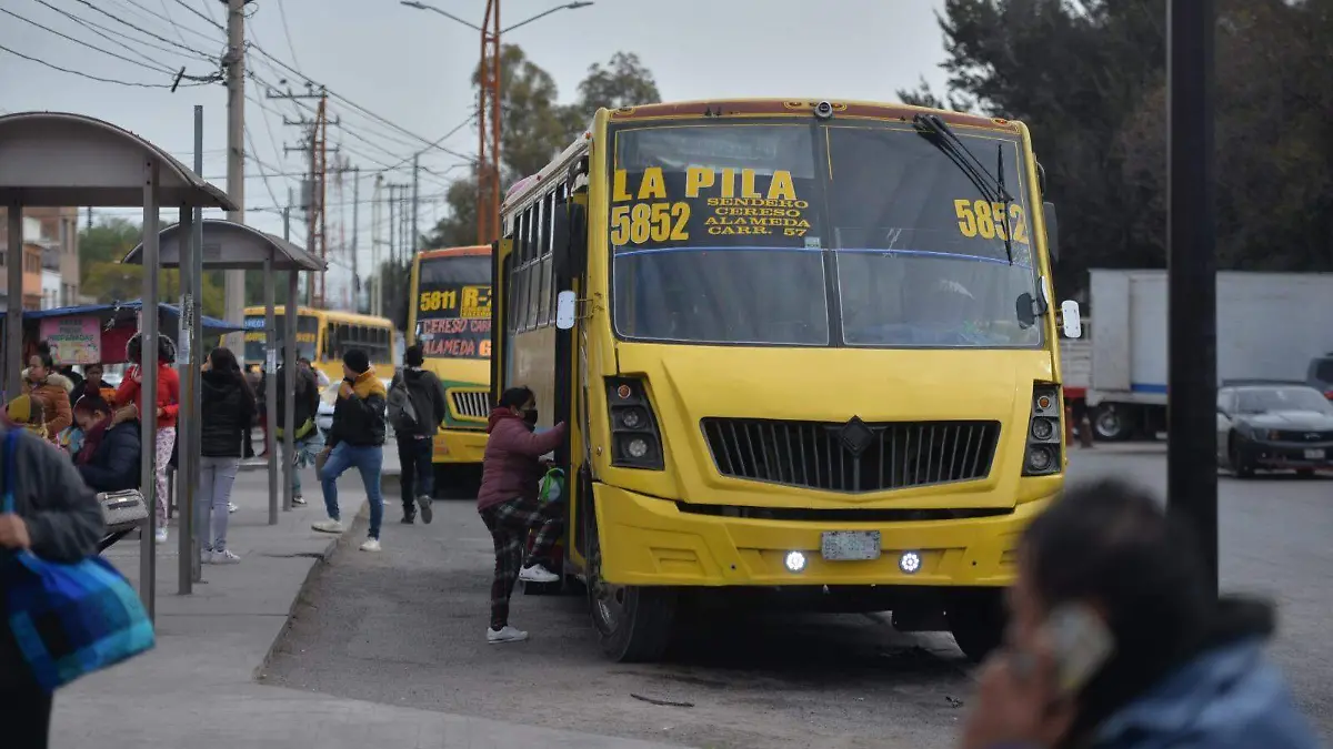 WhatsApp Image 2026-01-12 at 12.53.15