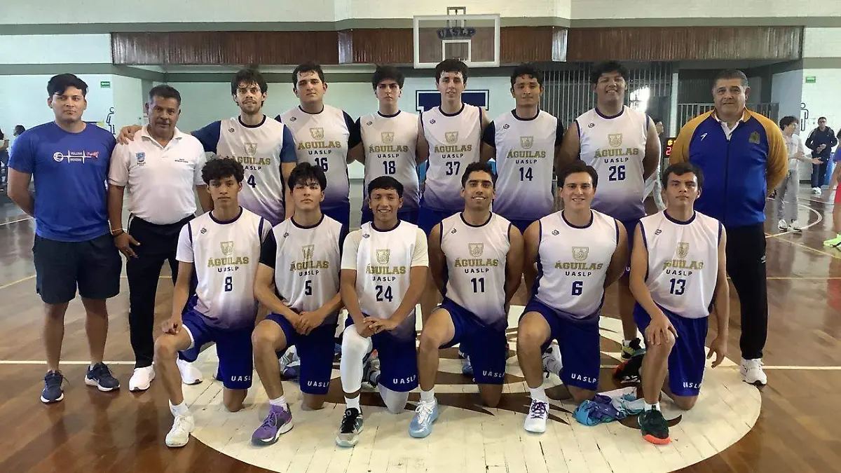 WhatsApp Image 2026-01-12 at 13.44.29