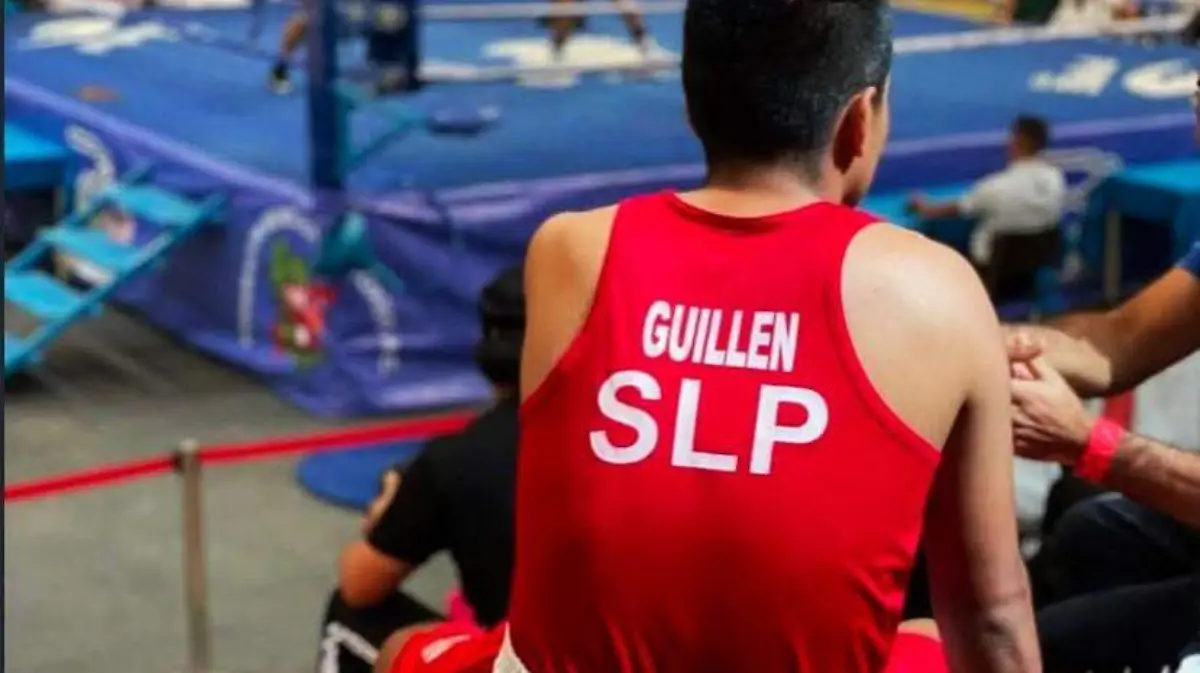 WhatsApp Image 2026-01-12 at 12.11.25