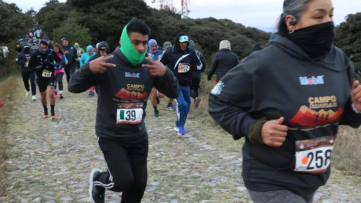 WhatsApp Image 2026-01-12 at 14.48.34