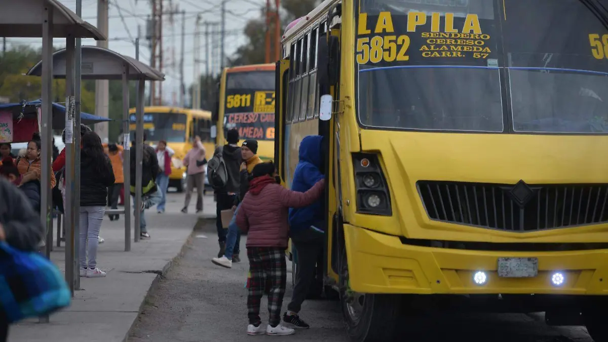 WhatsApp Image 2026-01-12 at 12.53.14 PM