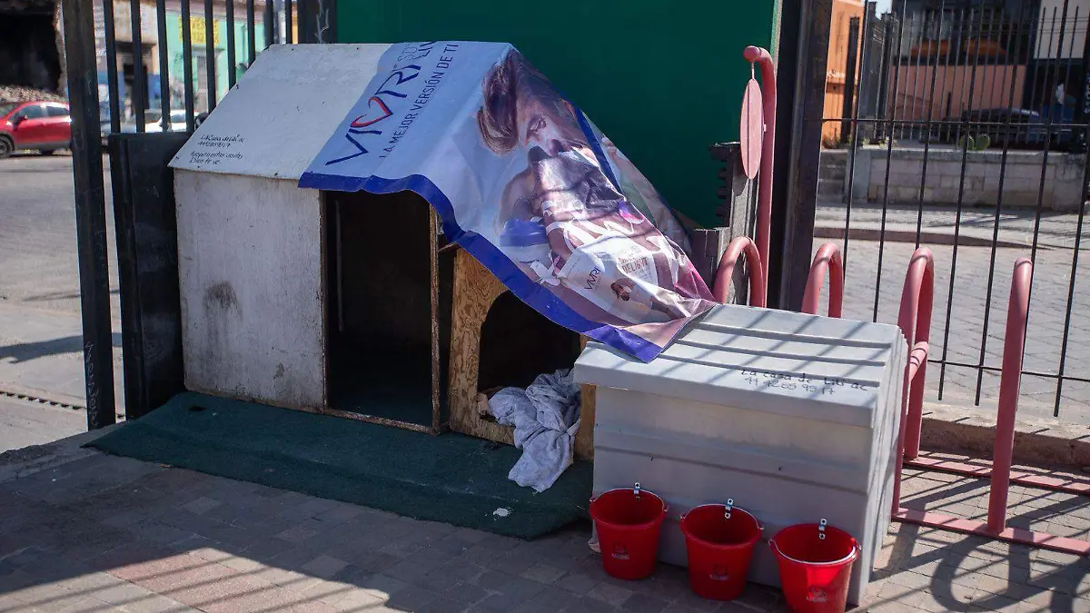 WhatsApp Image 2026-01-12 at 1.50.09 PM