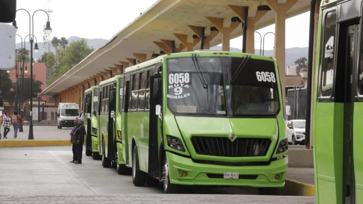 WhatsApp Image 2026-01-12 at 2.21.18 PM