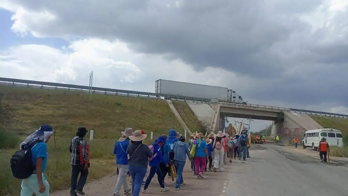 WhatsApp Image 2026-01-12 at 2.13.00 PM