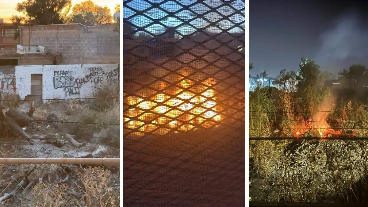 WhatsApp Image 2026-01-13 at 13.01.27